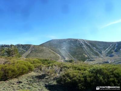 Loma del Noruego y Pinares de Valsaín;senderismo niños madrid puente de mayo viajes viajes en abri